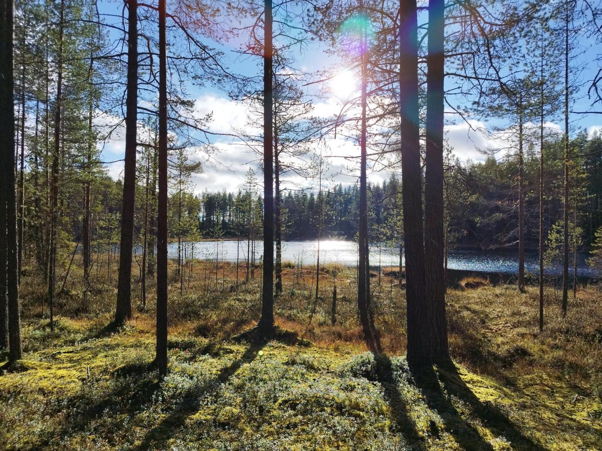 Vihreae Helmi Villa Kuusamo Eksteriør billede
